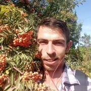 ���������� ������, ���� ������� �������, 40 ���, ������������ ��� ������, ����� � ���������, c�������� ���������