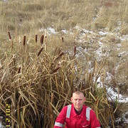 ���������� ����, ���� ������� �����, 46 ���, ������������ ��� ����� � ���������, c�������� ���������