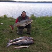 ���������� �����, ���� ������� ���������, 49 ���, ������������ ��� ������, ����� � ���������, c�������� ���������, ���������