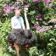 � �� ����� �������