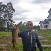 ���������� �����������, ���� ������� ���������, 46 ���, ������������ ��� c�������� ���������