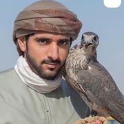 ���������� ����������, ������� ����, 55