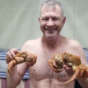  ,   , 49 ,  