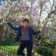  ,   , 65 ,     , c 