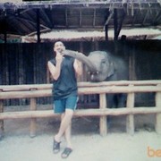  ,   PORSCHE, 46 ,   