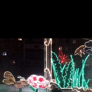 ���������� ������, ���� ������� �������, 46 ���, ������������ ��� c�������� ���������