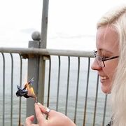 ���������� ���������, ���� ������� �����, 35 ���, ������������ ��� ������, ����� � ���������, c�������� ���������