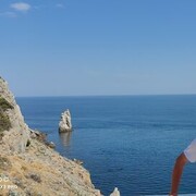 ���������� ���������, ���� ������� �������, 46 ���, ������������ ��� ������, ����� � ���������, c�������� ���������