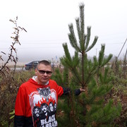 ���������� ���������, ���� ������� ������, 43 ����, ������������ ��� ������, ����� � ���������, c�������� ���������