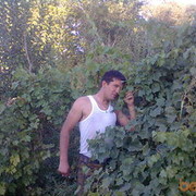  ,   Taii, 42 ,   ,   , c 