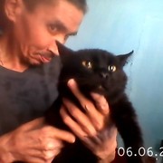  ,   , 56 ,   