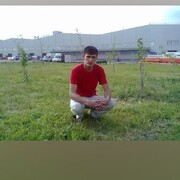  -,   , 37 ,   ,   