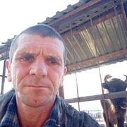 ���������� ������, ���� ������� ������, 48 ���, ������������ ��� ������, ����� � ���������