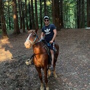 ���������� ����, ���� ����� ������, 25 ���, ������������ ��� ������, ����� � ���������