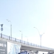 ���������� �������, ���� ������� �����, 39 ���, ������������ ��� ������, ����� � ���������, c�������� ���������, ���������