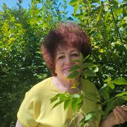 ���������� �������, ���� ������� �����, 75 ���, ������������ ��� c�������� ���������