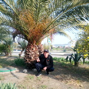 ���������� ����������, ���� ������� ������, 43 ����, ������������ ��� ������, ����� � ���������, c�������� ���������