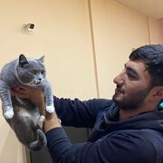  ,   Vusal, 27 ,   ,   