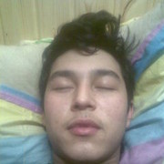  ,   Bek, 33 ,     , c 
