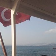  -,   , 55 ,   