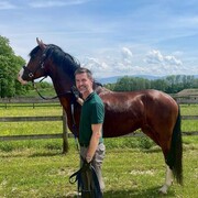 ���������� ���������, ���� ������� ������, 41 ���, ������������ ��� ������, ����� � ���������