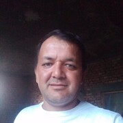  ,   Mukhib, 43 ,   ,   , 