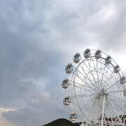 ���������� �������, ���� ������� ������, 40 ���, ������������ ��� ������, ����� � ���������