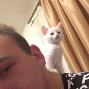 ���������� ��������, ���� ����� �������, 24 ����, ������������ ��� ������, ����� � ���������, c�������� ���������