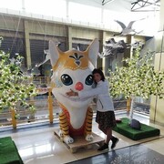  ,   , 44 ,     , c , 