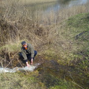 ���������� �������, ���� ������� ����, 54 ����, ������������ ��� ����� � ���������, c�������� ���������