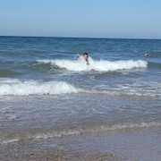 ���������� ��������, ���� ������� ������, 40 ���, ������������ 