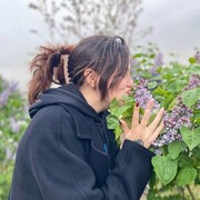 ���������� �������, ����