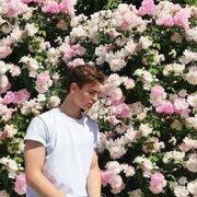 ���������� �����, ���� ����� ������, 24 ����, ������������ ��� ������, ����� � ���������, ���������