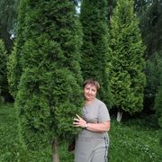  ,   , 62 ,   ,   , c 