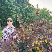  ,   Elena, 69 ,     
