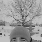 ���������� ���������, ���� ������� �������, 43 ����, ������������ ��� ������, ����� � ���������