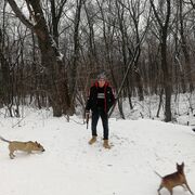 ���������� ������, ���� ������� ����, 59 ���, ������������ ��� ������, ����� � ���������, c�������� ���������