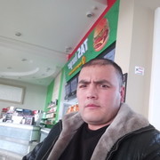 ���������� ���������, ���� ������� Shuxrat, 40 ���, ������������ ��� ������, ����� � ���������, c�������� ���������