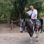  ,   , 43 ,   ,   