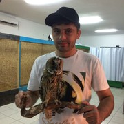 ���������� �����������, ���� ������� Mapat, 34 ����, ������������ ��� ������, ����� � ���������, c�������� ���������