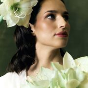 ���������� �������, �����