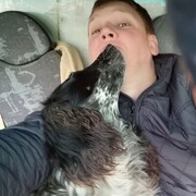 ���������� �����-���������, ���� ������� ��������, 41 ���, ������������ ��� ������, ����� � ���������