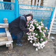  ,   , 62 ,     , c , 