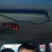 ���������� �����������, ���� ������� ����, 49 ���, ������������ ��� ������, ����� � ���������