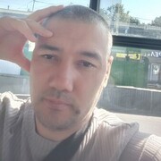 ���������� ��������, ���� ������� Doni, 34 ����, ������������ ��� ������, ����� � ���������, c�������� ���������, ���������