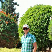  ,   Artem, 41 ,     , c 