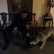  ,   Wolfik, 44 ,   ,   , c , 