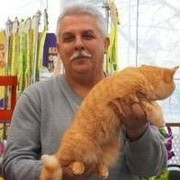 ���������� �����, ���� ������� ����, 67 ���, ������������ ��� ������, ����� � ���������, c�������� ���������