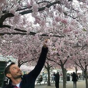   ,   , 40 ,   ,   , c 