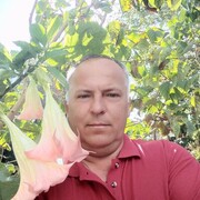 ���������� ���������, ������� ������, 54